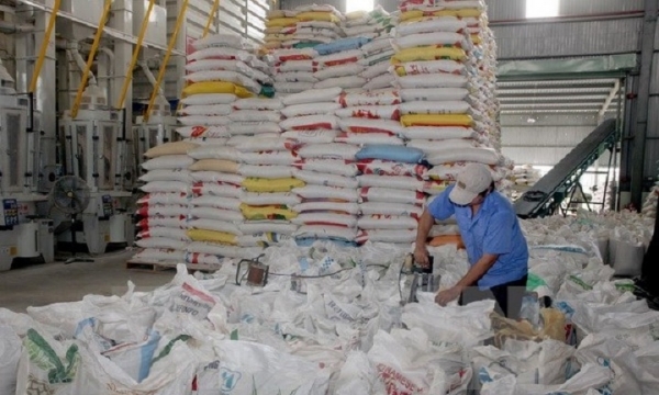 Xuất khẩu gạo khó đạt mục tiêu dù đã hạ chỉ tiêu xuống thấp